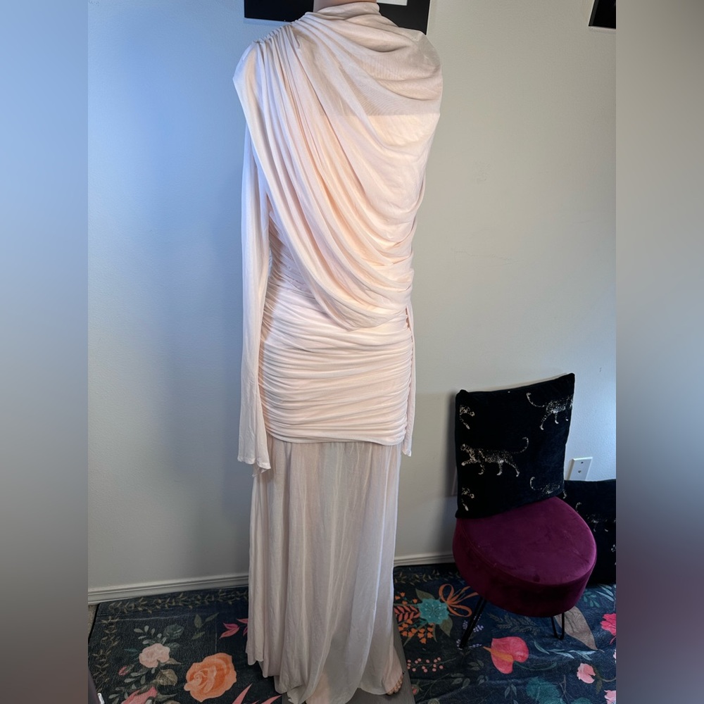 Deme by Gabriella Isla Dress in Baby Pink draped long sleeve sheer gown maxi - Picture 8 of 9